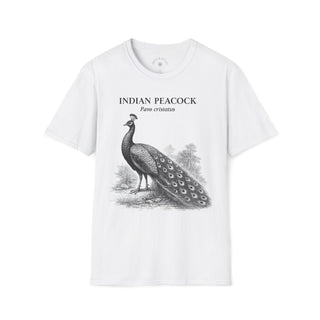 Indian Peacock T-Shirt in White – product image 1